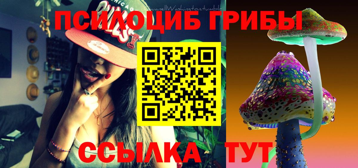Псилоцибиновые грибы MAGIC MUSHROOMS Сертолово